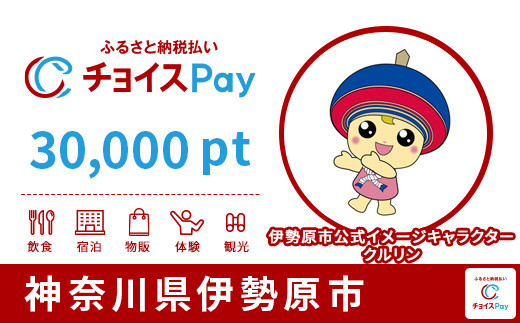 
伊勢原市チョイスPay 30,000pt（1pt＝1円）【会員限定のお礼の品】
