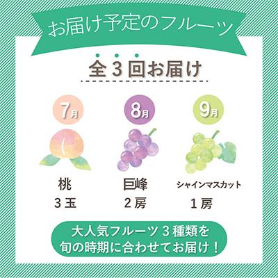 ふるさと納税 山梨市 【発送月固定定期便】山梨県産旬の大人気フルーツ【桃・巨峰・シャインマスカット】お試し定期便 全3回 |  | 03