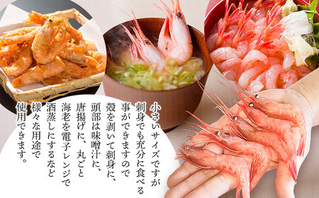 鶴岡市鼠ヶ関港水揚げ　船上箱詰め甘エビ(小) 1.1kg　【市制施行20周年記念返礼品】　羽前丸水産