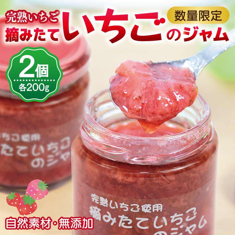 【先行予約】完熟朝摘みいちごのジャム【苺 無添加 自然素材 フルーツ イチゴ 高評価 数量限定】 G1488