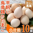 【ふるさと納税】平飼い烏骨鶏のたまご (計10個) 元さん農園 卵 玉子 卵かけご飯 玉子焼き 平飼い 鶏 鶏卵 養鶏場直送 朝採れ 新鮮 大分県 佐伯市 【GE003】【 (株)海九】