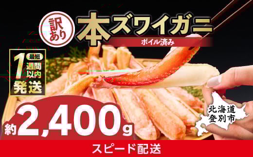 
            【最短1週間以内出荷】訳あり 冷凍 ボイル ずわいがに 足 2400g ズワイガニ ハーフポーション | ギフト 2025
          