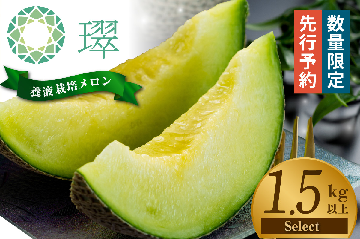 【先行予約】養液栽培メロン「璻」1玉【Select】（重さ1.5kg以上）｜メロン めろん フルーツ 常滑市 1.5kg以上