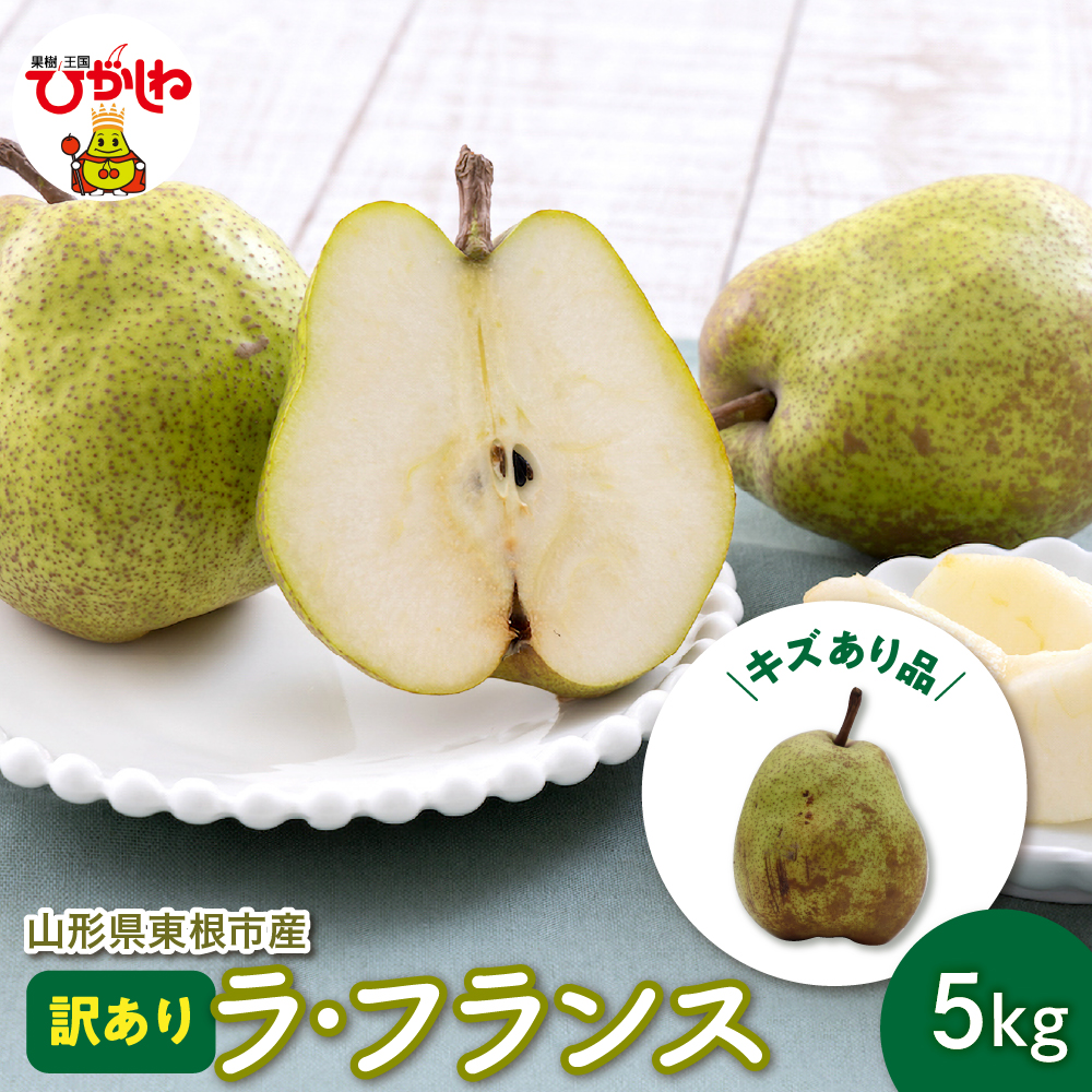 【令和8年産 先行予約】山形 ラ・フランス 家庭用（訳あり）5kg 山形県 東根市 鈴木農園提供 hi069-020
