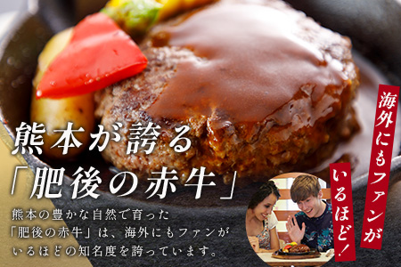 【定期便3回】熊本 赤牛 ハンバーグ 150ｇ×10個 ×3回配送 熊本県産 あかうし 和牛 牛肉 国産 牛 ハンバーグ 惣菜 お弁当 BBQ アウトドア グルメ 121-0602