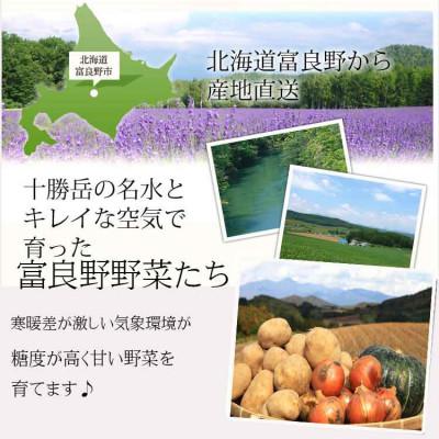ふるさと納税 富良野市 2026年先行受付　北海道富良野　野菜セット 10kg詰め |  | 01
