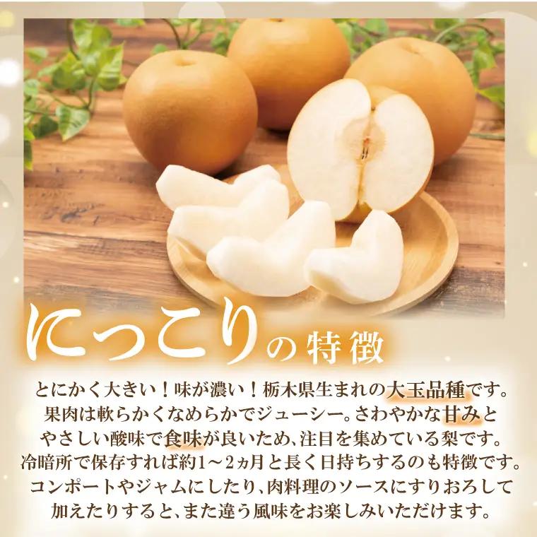 【先行予約】あい farm の梨 にっこり 5kg (4～9玉)(DQ004)
