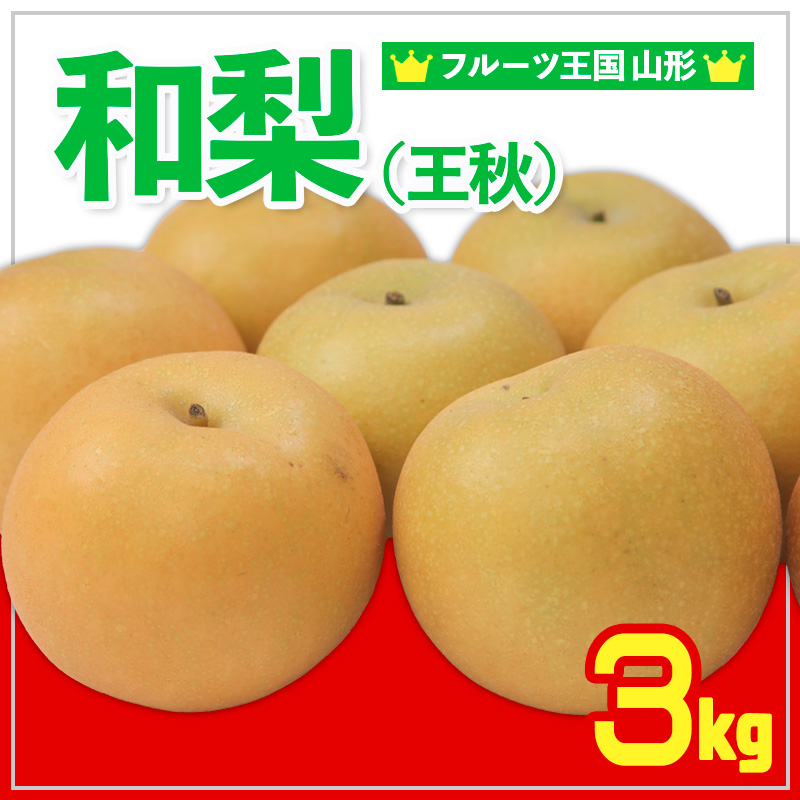 ☆フルーツ王国山形☆和梨 (王秋) 秀品 3kg 【令和7年産先行予約】FS24-777