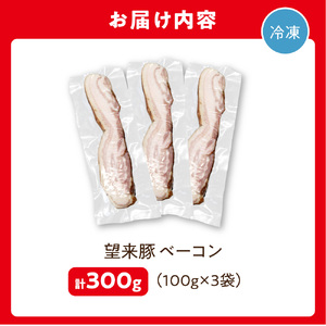 望来豚ベーコン ブロック100g×3｜ふるさと納税 無添加 ベーコン 北海道 石狩市