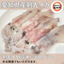 【ふるさと納税】 ケンサキ イカ ( アカイカ ) 300g × 2袋 冷凍 海鮮 魚介 海の幸 真空 パック 小分け バター 炒め 姿焼き パスタ フライ 揚げ物 アヒージョ 愛知県 南知多町 人気 おすすめ ふるさと納税イカ ふるさと納税アカイカ ふるさと納税【配送不可地域：離島】