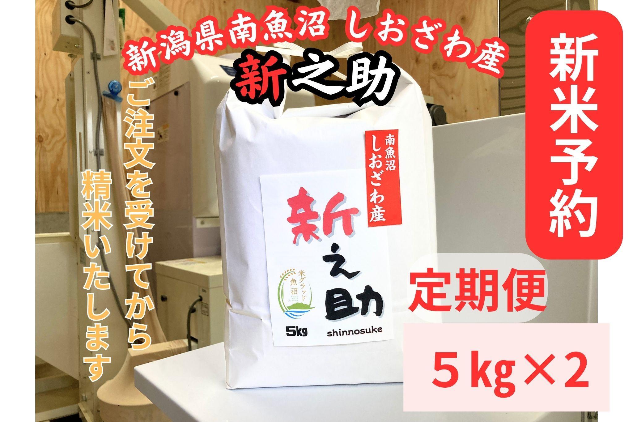 【令和8年産・新米予約・定期便】新潟県南魚沼産　新之助　10kg×３か月　大粒でツヤがあるこれまでにないお米【定期便 銘柄米 ブランド米 精米 新之助 魚沼産 新潟米】【2026年10月中旬より1ヶ月以内に順次発送予定】
