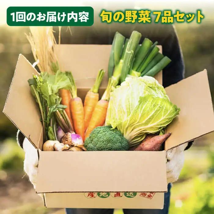 【全3回定期便】旬の野菜セット 7品 [JBO044] 野菜 詰め合わせ