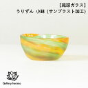 【ふるさと納税】【琉球ガラス】うりずん 小鉢（サンドブラスト加工）匠工房　Galleryはらいそ　沖縄　うるま市　工芸品　手作り　職人　うりずん　小鉢　皿　ガラス　一輪挿し　一点もの