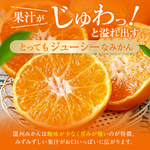 【 定期便 3回  】 甘盛り！ ときめくフルーツの三重奏 | 定期便 フルーツ 果物 くだもの 熊本県 玉名市