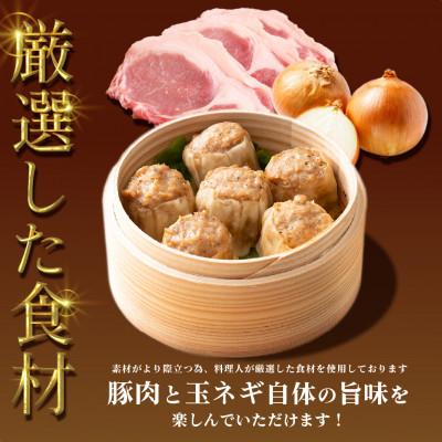 ふるさと納税 静岡市 ジャンボ焼売 90個入(10個入×9袋) |  | 02