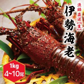 鹿嶋産地直送★【生】伊勢海老 2kg 4〜10尾　伊勢エビ【発送期間10月～5月】（KBL-12）