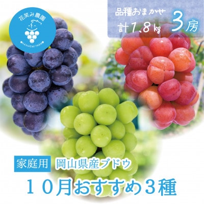 【2026年先行受付】岡山　花笑み農園の『10月おすすめ3種』家庭用　1.8kg(3房)3M-2L家【配送不可地域：離島】【1694423】
