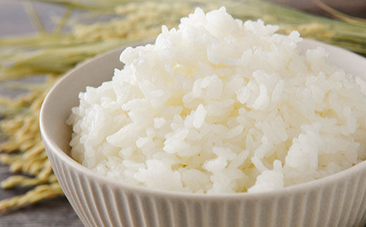 《令和8年産 新米受付》《定期便6ヶ月》【白米】ミルキークイーン 5kg 秋田県産 ひろっきい米 [新米 ミルキークイーン 米 白米 精米 お米 おこめ ブランド米 食卓 おにぎり 秋田県産 秋田県 