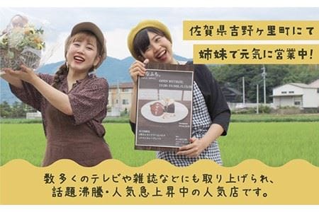 ＜テレビで紹介された人気カレー店＞ブレンド万能スパイス塩 10袋セット【せなふち。】 [FCM001]