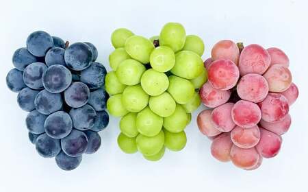 大粒 ぶどう 3種 セット 3房 計約2kg シャインマスカット ピオーネ クイーンニーナ 【2026年10月上旬から発送予定】 ／ マスカット 葡萄 ブドウ 種無し 種なし