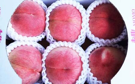 《2025年先行予約》 山形県産 白桃 品数・玉数おまかせ 秀品 約1.5kg FSY-2018