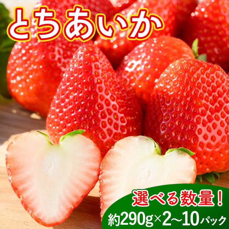 【ふるさと納税】《数量限定》いちご（とちあいか） 290g×2～10パック 580g～2.9kg以上｜先行予約 数量限定 栃木県 果物 くだもの フルーツ 苺 イチゴ ※2025年11月下旬～2026年3月下旬頃に順次発送予定