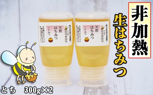 簗場養蜂場 非加熱 生はちみつ とち 300g 2本 【あねっこ】 純粋 蜂蜜 はちみつ ハチミツ ハニー 600g 国産 国内産 日本産 ボトル 長期保存 産地直送 トチ 栃 栃蜜 とち蜜 蜜 みつ