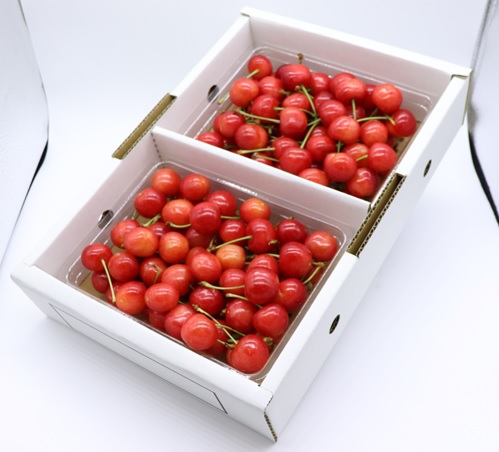 ★先行予約★【令和8年産】食の都庄内　庄内産さくらんぼ「佐藤錦」Lサイズ800gバラ詰め　※令和8年6月中旬～下旬頃発送予定 [HS4-274(庄内旬青果)] 佐藤錦　Lサイズ800g