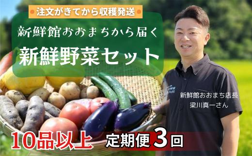 【定期便3回】注文が来てから収穫発送！収穫したばかりの新鮮野菜セット 《10品以上保証》 季節のお野菜 おまかせ お楽しみ 獲れたて産地直送 旬 春野菜 ベジタブル ヘルシー 健康 詰め合わせ 一関市