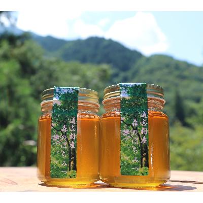 ふるさと納税 道志村 道志村産　森のはちみつ(130g×2本)