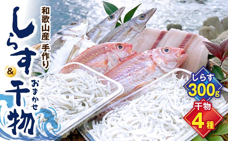 
                  しらす ・ 干物 おまかせ詰め合わせ セット A【しらす干し ちりめんじゃこ シラス 魚 干物セット 詰め合わせ】_DL6001n
                