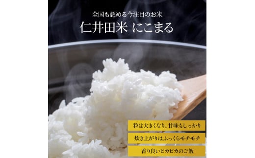 【令和６年産米】【無洗米】 仁井田米にこまる 5kg こだわりの無洗米でおいしく簡単！／Bos-B02