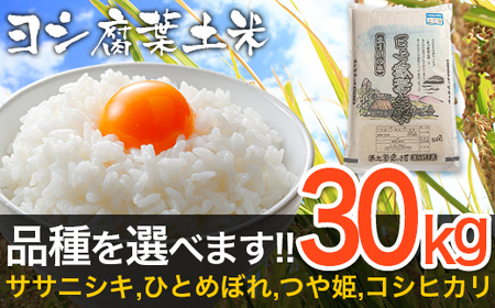 【新米予約】令和6年産 ヨシ腐葉土米 特別栽培米 つや姫  精米30kg（10kg×3袋）石巻産 つや姫 精米 つや姫 宮城県産 つや姫