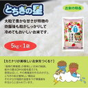 【ふるさと納税】栃木県鹿沼市産 とちぎの星 無洗米 5kg 令和5年産 水稲うるち精米 単一原料米 お米 特A 大粒　 米 お米 大粒 甘さ 　お届け：2024年10月上旬～2025年7月下旬