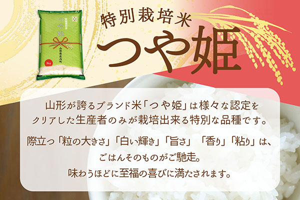 ＜11月下旬発送＞庄内米6か月定期便！つや姫 5kg（入金期限：2025.10.25） 11月下旬発送 5kg