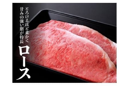 宮崎牛 ロースステーキ 500g (250g×2枚)【肉 牛肉 牛 国産 牛 黒毛和牛 牛 宮崎牛 牛 肉質等級4等級以上の牛肉】