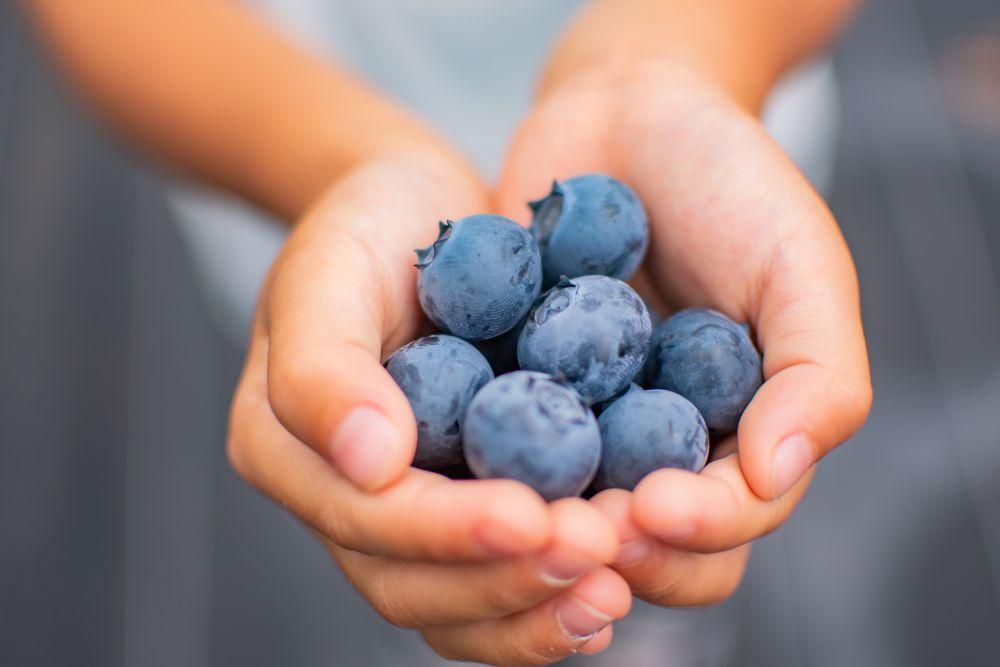 BULE BERRY FARM UEKI 施設利用券 ３０００円分 施設利用券3000円 | 10000円