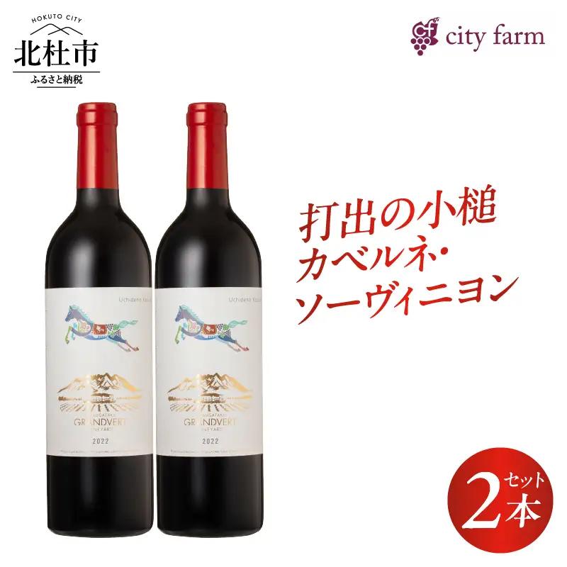 打出の小槌 カベルネ・ソーヴィニヨン 2022　2本　ワイン 赤ワイン カベルネ・ソーヴィニヨン 2022 750ml 2本 数量限定 赤 国産ワイン 山梨県産 白州産 北杜市産 完熟  黒系果実 オーク樽 樽香 タンニン 酸味 料理に合う 記念日 贈り物 プレゼント