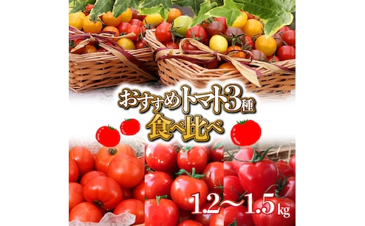 
										
										【個数限定】おすすめトマト3種 食べ比べ 1.2～1.5kg 長田農園しかできない夢の共演 野菜ソムリエサミット 金賞 受賞 長田農園 産地直送 トマト とまと 野菜 やさい フルーツ サラダ 濃厚 甘い ご褒美 プレゼント 美容 健康 リピート多数 人気 高評価 数量限定 碧南市 H004-148
									