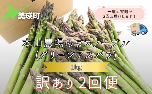 【令和8年産先行予約】 幻のアスパラ 『訳あり』 1kg 2回便 ラスノーブル <令和8年産 > 北海道 美瑛町 本山農場 グリーンアスパラ | グリーン アスパラガス アスパラ あすぱら あすぱらがす 採れたて 新鮮 旬 産地直送 野菜[024-58]