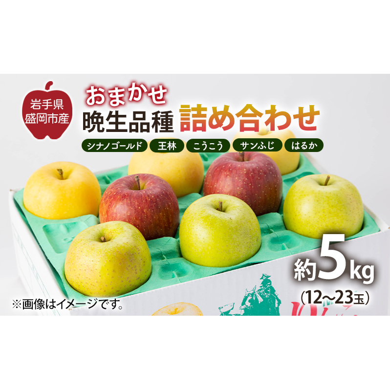 盛岡から「農で人をつなぐ」藤与果樹園：おまかせ晩生品種詰め合わせ（シナノゴールド、王林、こうこう、サンふじ、はるか、金星、ぐんま名月、シナノスイート等から２種以上）5kg フルーツ 果物 旬のフルーツ 旬の果物 旬 冬 岩手 盛岡 産地直送 玉数指定不可 詰め合わせ 岩手 盛岡