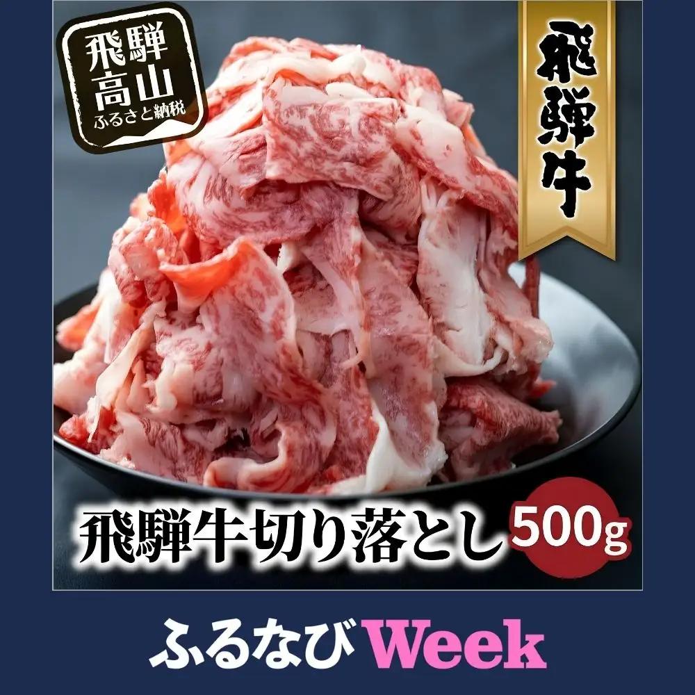【ふるなびWEEK対象】牛肉 飛騨牛 訳あり 切り落とし500g 牛肉 LR011