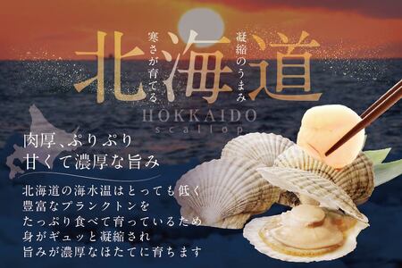 北海道産 大玉 ホタテ 800g（ほたて 帆立 貝柱 冷凍 ）ほたてほたてほたてほたてほたてほたて