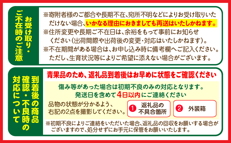 青果店厳選！「くだもの定期便Vol.1」(全9回) フルーツ 果物 定期便 9回 いちご きんかん 金柑 たまたま 日向夏 マンゴー メロン みかん 温州みかん 不知火 柑橘 柑橘類 青果物 青果 グルメ お取り寄せ ギフト