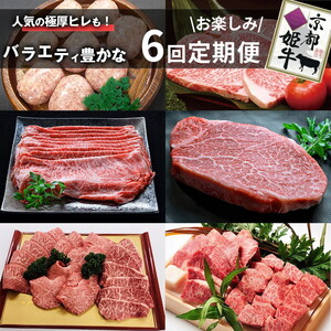 【6回定期便】牛肉 京丹波姫牛 お楽しみセット【計2.71kg】牛肉