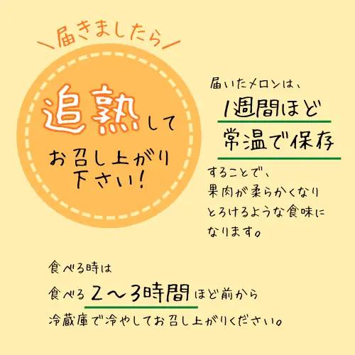 青果市場の野菜ソムリエ厳選 ジューシー メロン 2兄弟 定期便 全2回