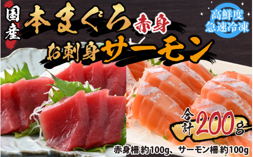 本まぐろ赤身（柵）100gとお刺身サーモン（柵）100gセット 【マグロ クロマグロ トラウトサーモン アトランティックサーモン 鮭 冷凍 国産 ノルウェー産 養殖】 [A-065051]