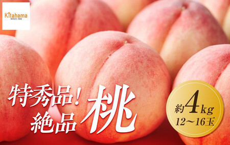 【2025年6月下旬より順次配送！】特秀品！絶品「桃」約4kg(12～16玉) |フルーツ 桃 旬 桃 美味しい 新鮮 桃 フルーツ 詰合せ 桃 セット フルーツ 人気 フルーツ 厳選 桃 おすすめ フルーツ 桃