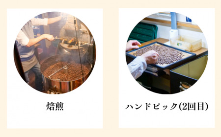 コーヒー豆 花野子 ブレンド 500g コーヒー豆