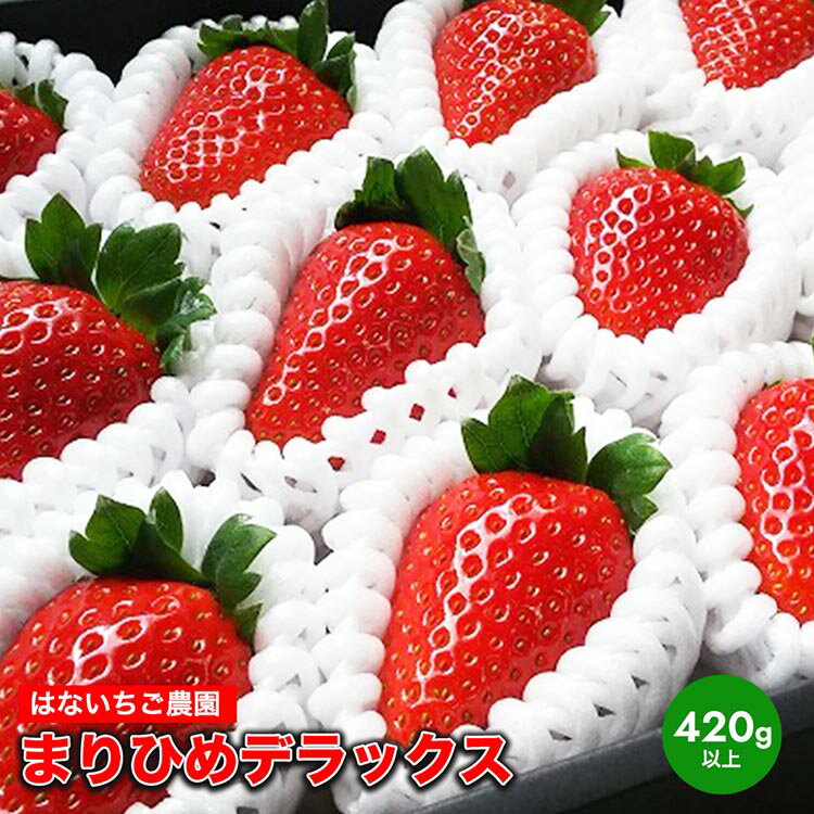 【ふるさと納税】はないちご農園「まりひめデラックス」| まりひめ 苺 いちご イチゴ 美浜町 ふるさと納税 果物 フルーツ 果実 くだもの はないちご農園 完熟いちご